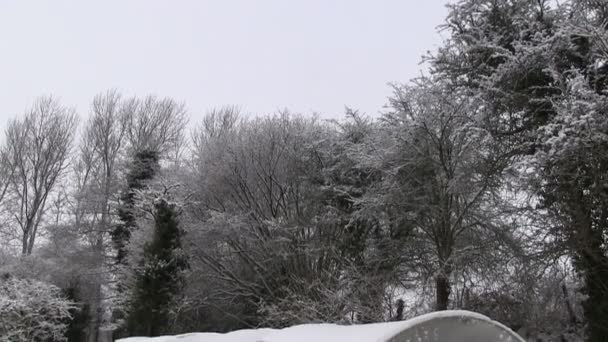 Un polytunnel cubierto de nieve — Vídeos de Stock