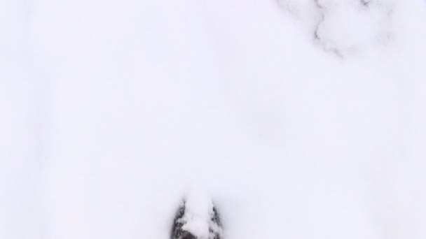 Хождение по снегу — стоковое видео