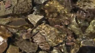 Bir dere yatağında kayaların üzerinden geçen su