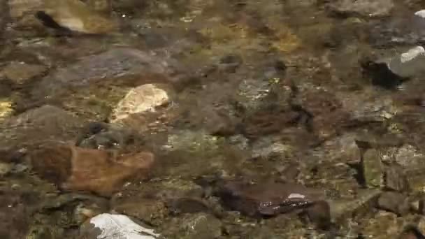 Eau passant sur des rochers sur un lit de ruisseau — Video