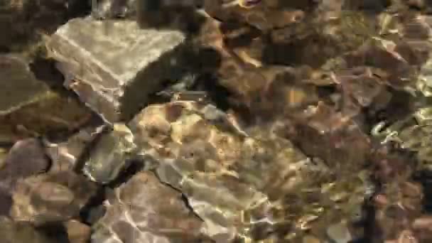 水ストリーム ベッドの上の岩の上を通過 — ストック動画