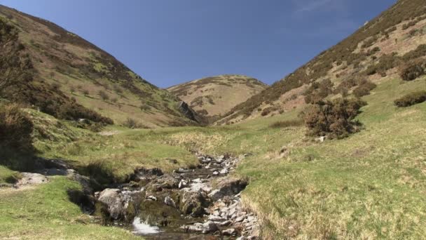 En ström i Carding Mill Valley, Church Stretton — Stockvideo