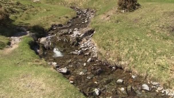 Un ruisseau dans Carding Mill Valley, Church Stretton — Video