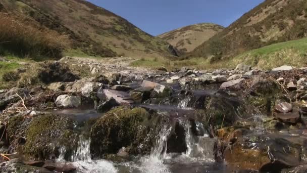 En ström i Carding Mill Valley, Church Stretton — Stockvideo