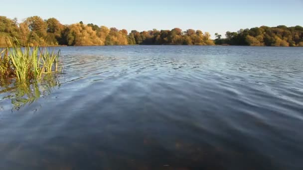 Bir göl, Sonbahar, Ellesmere, Shropshire, İngiltere — Stok video