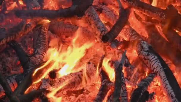 Nahaufnahme der Holzverbrennung am Lagerfeuer. — Stockvideo