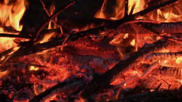 Nahaufnahme der Holzverbrennung am Lagerfeuer. — Stockvideo