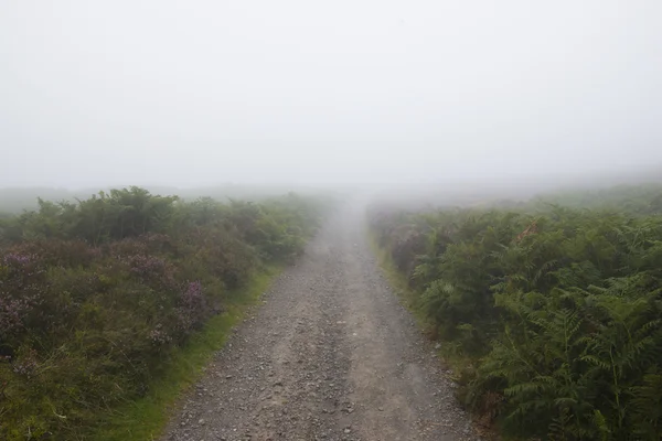 Una strada che conduce nella nebbia sulla Longmynd nelle Shropshire Hills . Immagini Stock Royalty Free