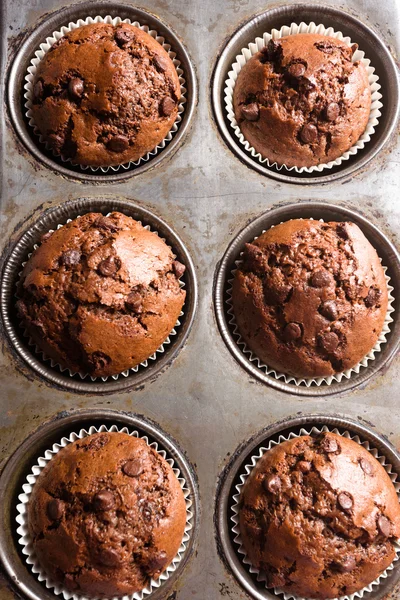 Muffin biscuit aux pépites de chocolat sous l'ancienne forme vintage . — Photo
