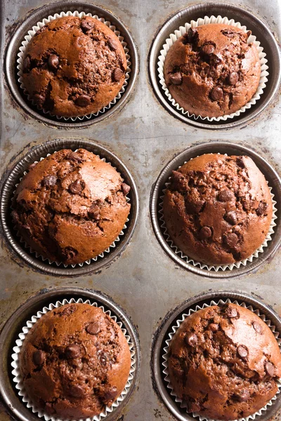 Chocolate chip cookie muffin in the old vintage form. — Stock Photo, Image