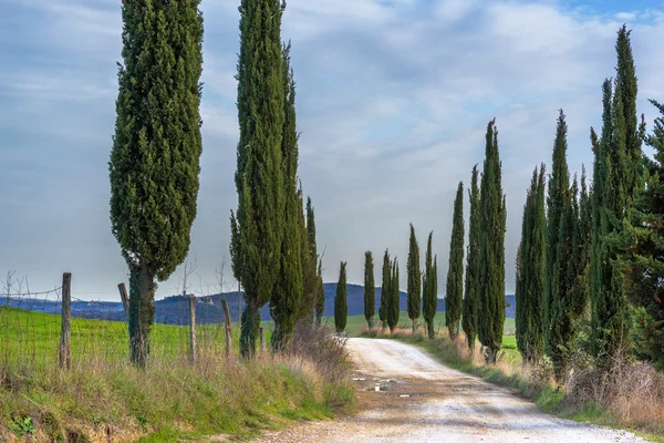 Estrada de cascalho com ciprestes verdes na primavera Toscana . — Fotografia de Stock