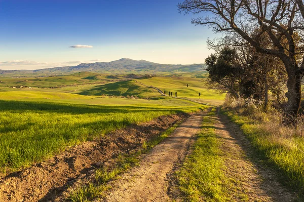 Wiosną pola malowane toskańskiej zachód światło. — Zdjęcie stockowe