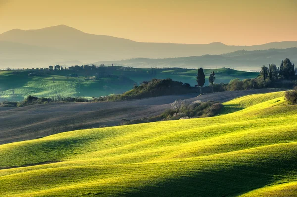绿色的田野，在立春日在意大利的托斯卡纳， — 图库照片
