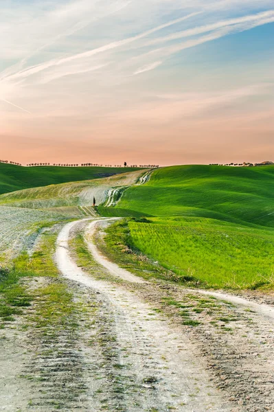 Lange en bochtige landelijke weg kruist de heuvels bij zonsondergang — Stockfoto