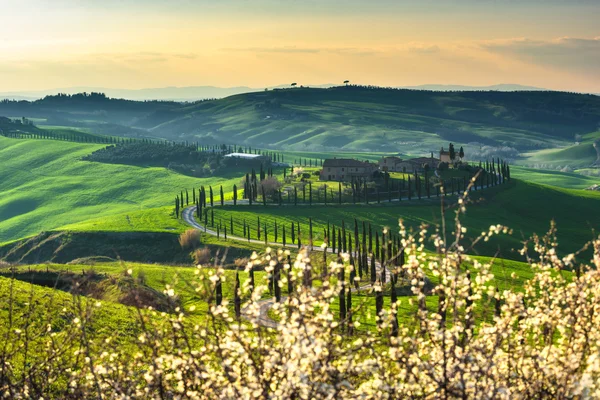 Magical journey fields of Tuscany — Stock Photo, Image