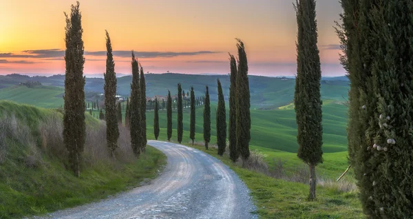 Campos de viaje mágico de Toscana —  Fotos de Stock