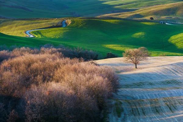 Fantastic landscape of early spring in Tuscany. — Stock Photo, Image