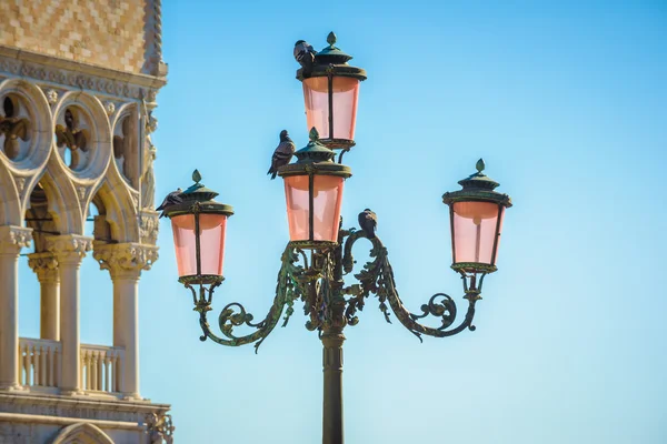 Lampu jalan di Venesia dengan banyak merpati duduk di atasnya dengan bl — Stok Foto
