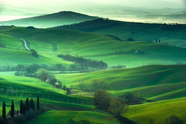 Grande vista primaverile sulle colline e nebbia nei campi . — Foto Stock