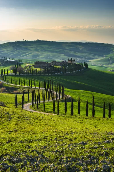 Campos mágicos de viagem da Toscana Fotos De Bancos De Imagens