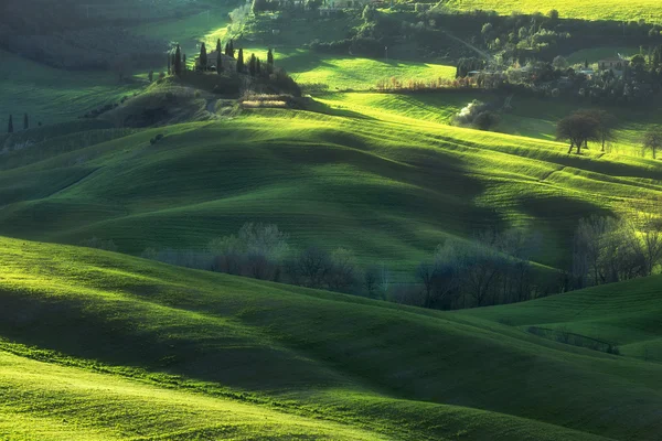 Solnedgång över fälten i Toscana tidigt på våren. — Stockfoto