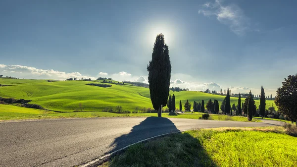 Vue panoramique indescriptible sur la campagne toscane . — Photo