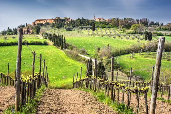 Vista italiana de los viñedos de primavera con un pequeño pueblo toscano —  Fotos de Stock