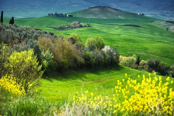 Toscana giornata pigra nel paesaggio . — Foto Stock