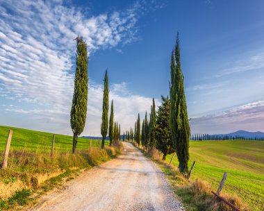 Çakıl yol yeşil servi ağaçlarıyla bahar Tuscany.