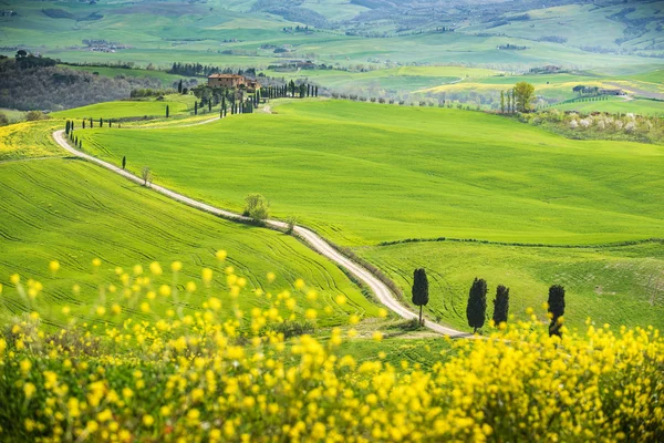 Miejsce na wiosnę przemieszcza się w Włochy. — Zdjęcie stockowe