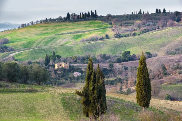 Velden en bossen in de lente van Toscane. — Stockfoto