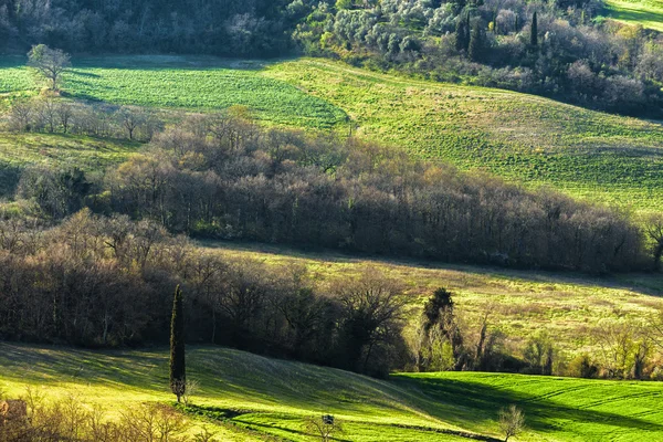 Contrastând zilele însorite de vară și câmpurile verzi . — Fotografie, imagine de stoc