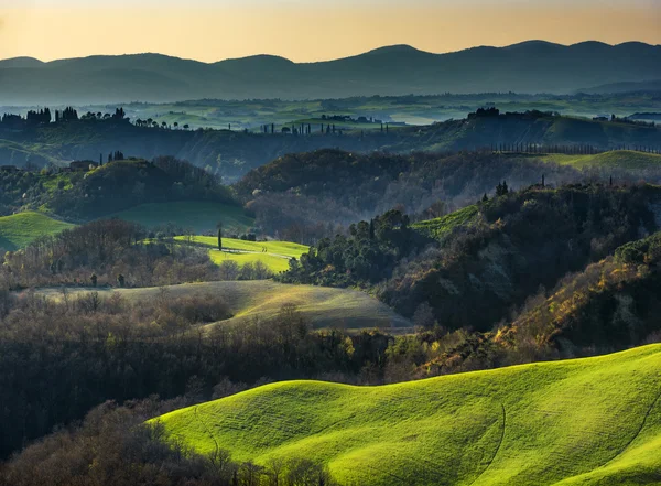 Luce contrastante giornate estive soleggiate e campi verdi . — Foto Stock