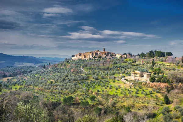 Antigua ciudad en una colina con olivos, Castelmuzio . — Foto de Stock