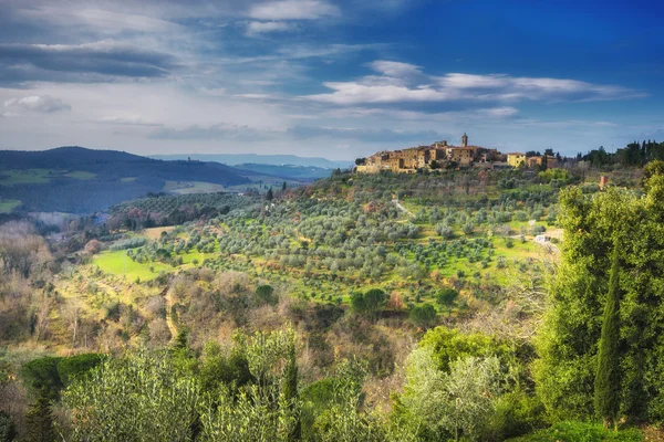 Kota kuno di atas bukit dengan pohon zaitun, Castelmuzio . — Stok Foto