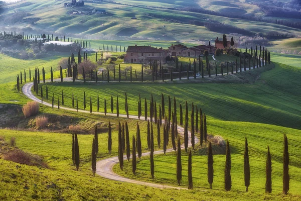 Campos mágicos de viagem da Toscana — Fotografia de Stock