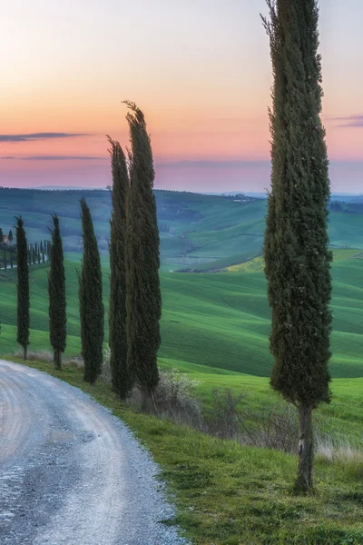 Campi magici della Toscana — Foto Stock