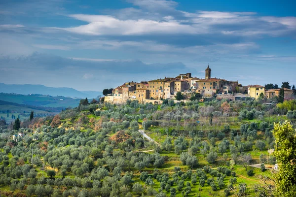 Antike Stadt auf einem Hügel mit Olivenbäumen, castelmuzio. — Stockfoto