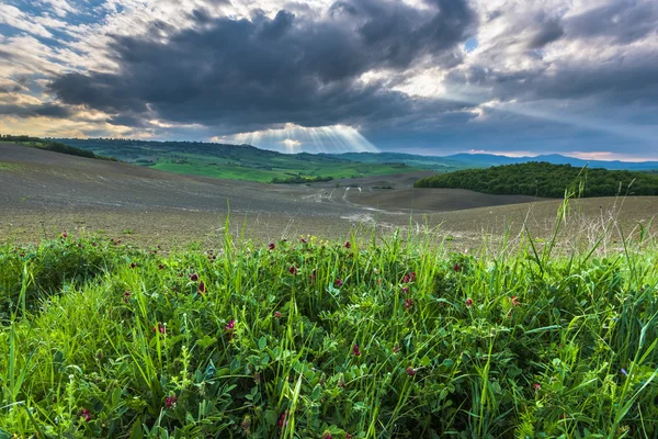 Changements climatiques printaniers sur la tempête . — Photo