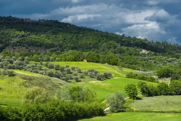 Tuscan spring magical landscape. — Stock Photo, Image