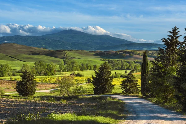 Estrada rural sinuosa com árvores e primavera no fundo . — Fotografia de Stock