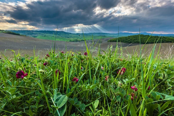 Vremea de primăvară se schimbă în furtună . — Fotografie, imagine de stoc