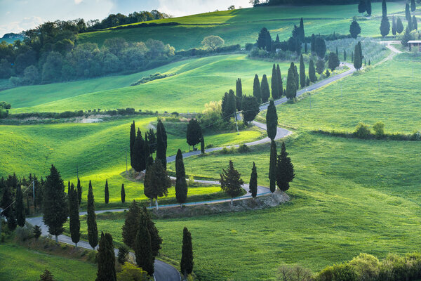 Весенние колосья в день весенней погоды

