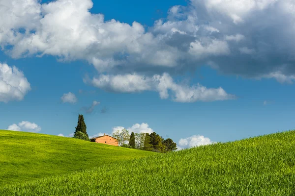 Tuscan spring magical landscape. — Stock Photo, Image