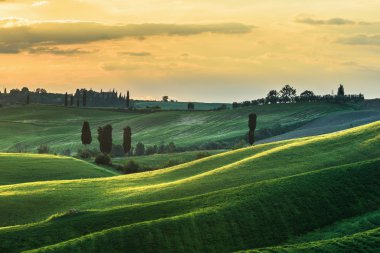 Tuscany çayırlar üzerinde bahar yeşil ve gün batımı.