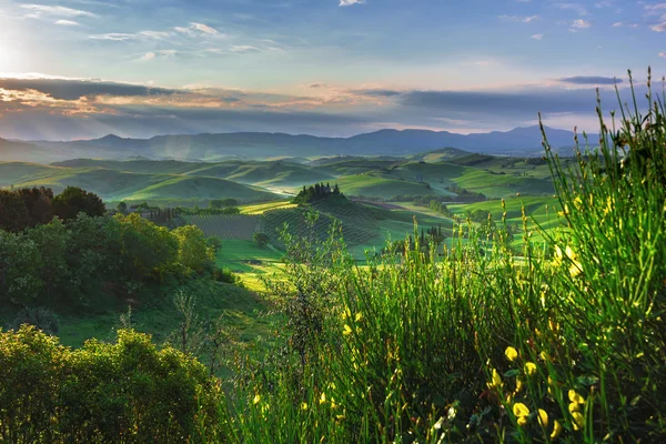 Toskanische Hügel und Frühlingslandschaft. — Stockfoto