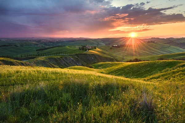 Panoramic view in spring day on the landscape of Crete Senesi. — Stock Photo, Image