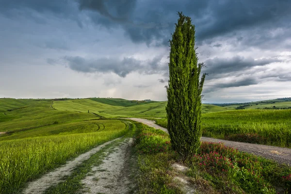 Frühlingsgewitterwetter mit Sonnenuntergang über den Zypressen in der Toskana — Stockfoto