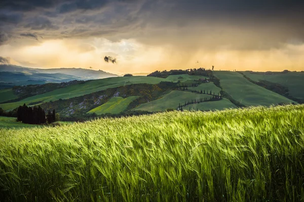 Primavera tempestade tempo com o pôr do sol sobre os prados da Toscana . — Fotografia de Stock