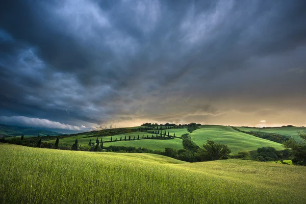 トスカーナの草原に沈む夕日と春の嵐の天気. — ストック写真